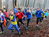 2017-01-08 Cross AVO 83